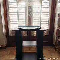 Acquario semicircolare con mobiletto