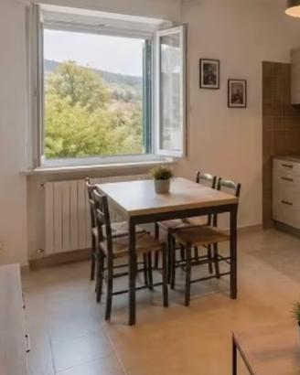 MONTEROTONDO MONOLOCALE ARREDATO PiANO TERRA