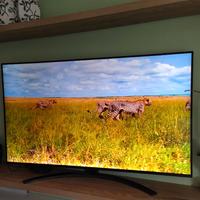 TV LED LG 55 pollici 4K Nanocell HDR Dolby vision