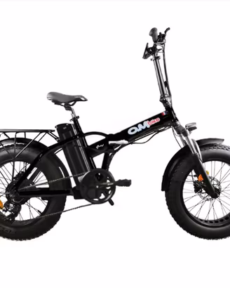 Bici elettrica