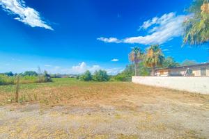 TERRENO Agricolo 900MQ - Riferimento FL290