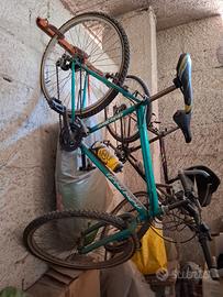 Coppia di biciclette montanbaik