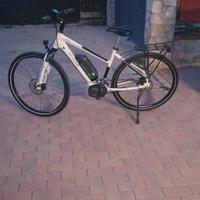 Bici assistita 