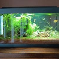 acquario tetra starter line 54l