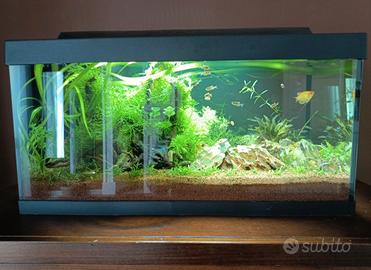 acquario tetra starter line 54l