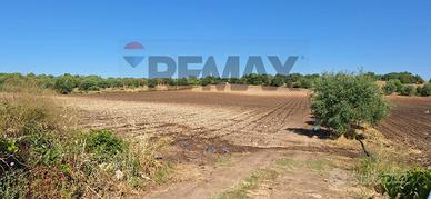 Terreno - Noto