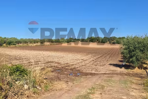 Terreno - Noto