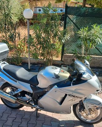 HONDA CBR XX  