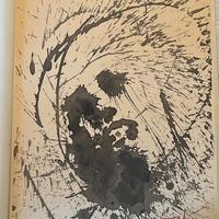 Salvador Dali litografia