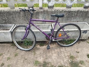 Mountain bike 