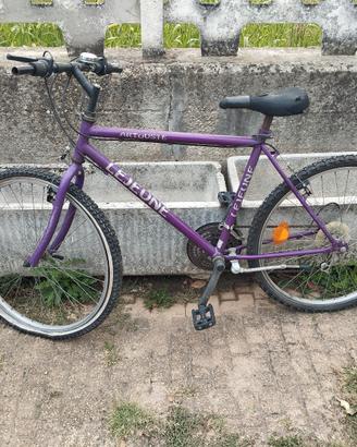 Mountain bike 
