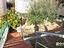 Immagine 29