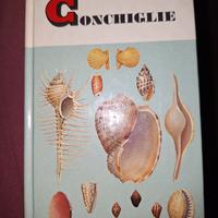 Conchiglie Piccole guide Mondadori