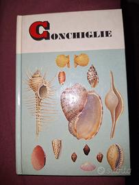 Conchiglie Piccole guide Mondadori