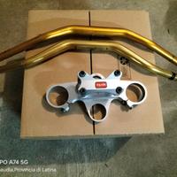 KIT Piastra con Raiser   Aprilia Tuono RSV 1000