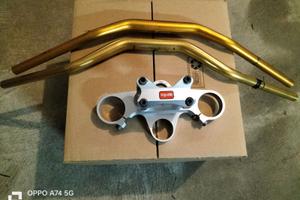 KIT Piastra con Raiser   Aprilia Tuono RSV 1000