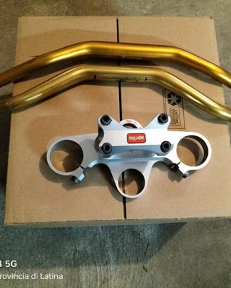 Ricambi Accessori Aprilia RSV 1000