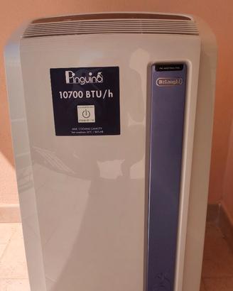Condizionatore Pinguino De'Longhi