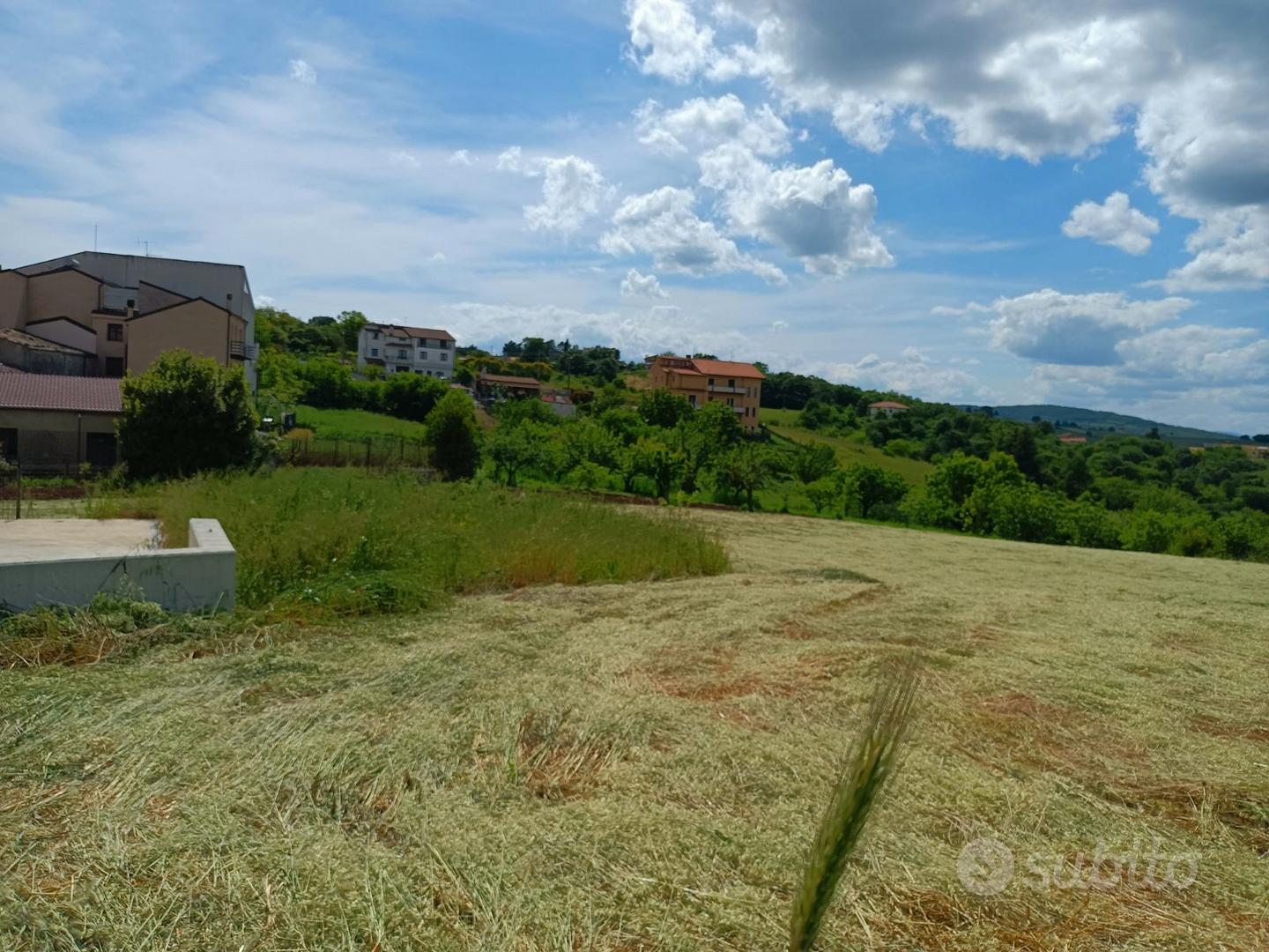 Riccia, Via Feudo – terreno B2 con frutteto - Vista 4