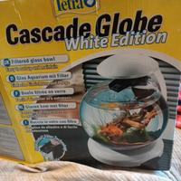 boccia in vetro con filtro per pesce