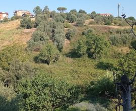 Terreno Agricolo con pozzo Romano