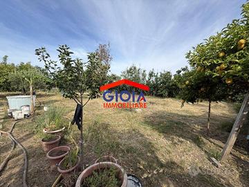 Terreno di 1158 m² a Mondragone
