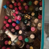 Collezione bottiglie mignon