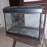 acquario 20 lt
