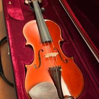Violino Giorgio Scolari