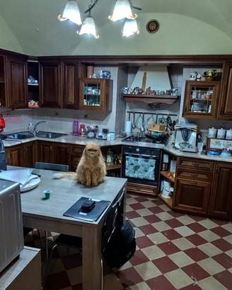 Appartamento - Catania