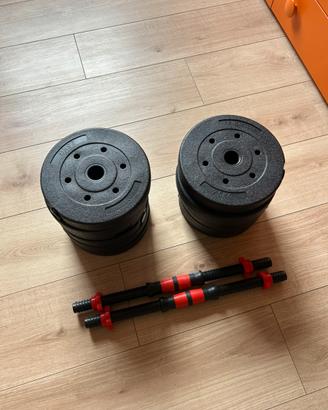 Pesi con manubri
