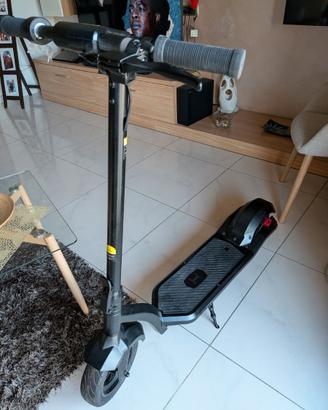 Monopattino elettrico - LEX R10