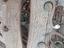 Immagine 5