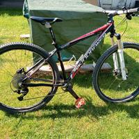 Due biciclette per divertirsi