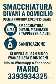 servizio pulizia professionale 