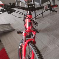 Mountain E bike. 