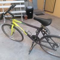 BICICLETTA