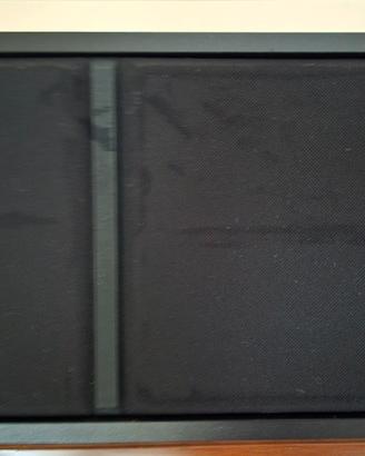 Casse BOSE 301 Serie III
