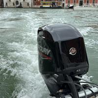 40/60 Mercury 2024 con 150 ore