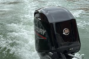 40/60 Mercury 2024 con 150 ore