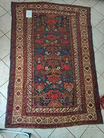 Tappeto Shirvan 