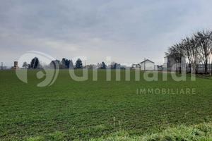 Rustico/Casale/Corte Castiraga Vidardo