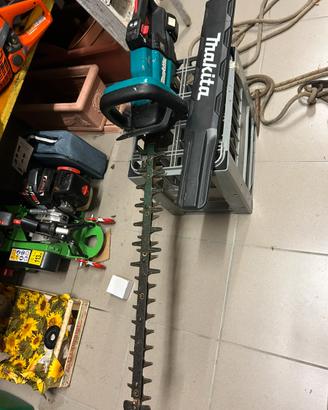 Tosasiepi makita
