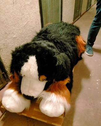 peluche cane dolcissimo lunghi.1 metro altezza 50 