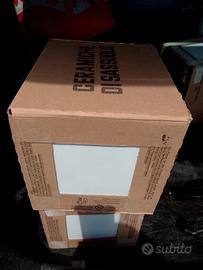 Piastrelle Bianco Lucido 20x20