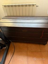 Baule