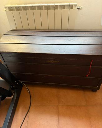 Baule