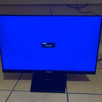 Monitor PC ASUS