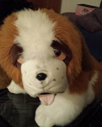 San Bernardo di Peluche