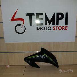 Carena sx Kawasaki Z900 2017-2019